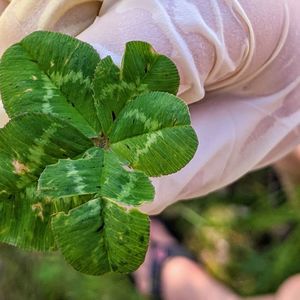 Meet your Posher, Janice